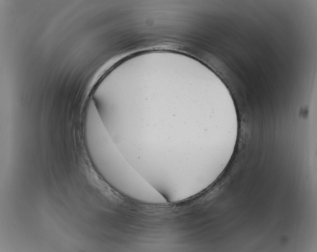 X0000113220948200910081338