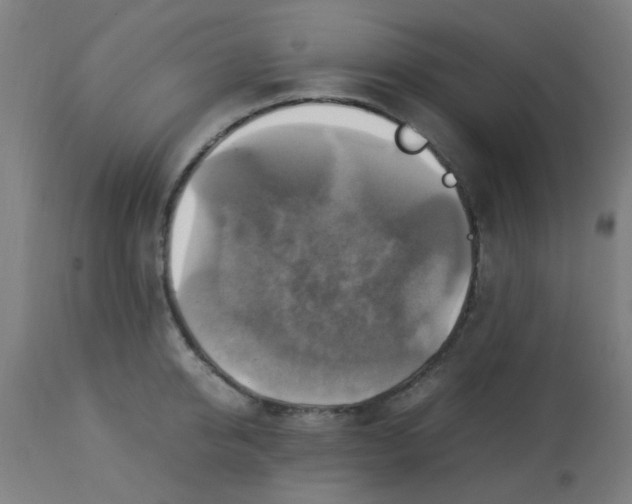 X0000113220950200910081338
