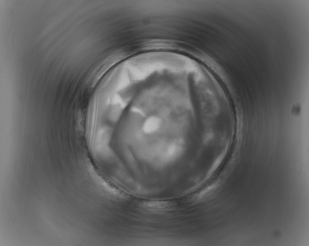 X0000113220953200910081338