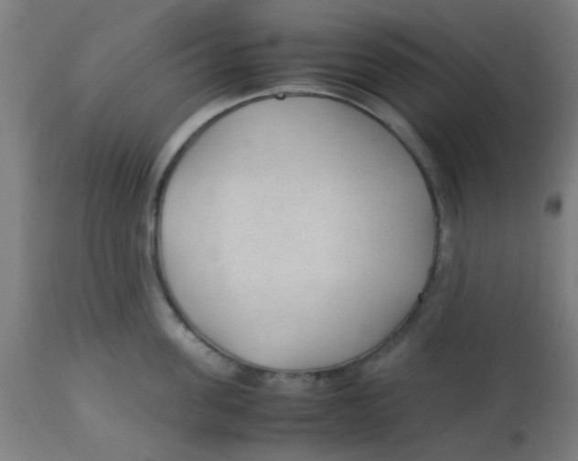 X0000113220955200910081338