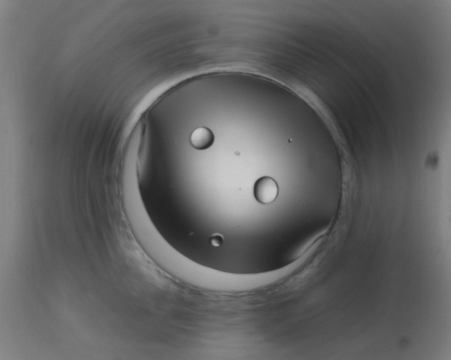 X0000113220956200910081338