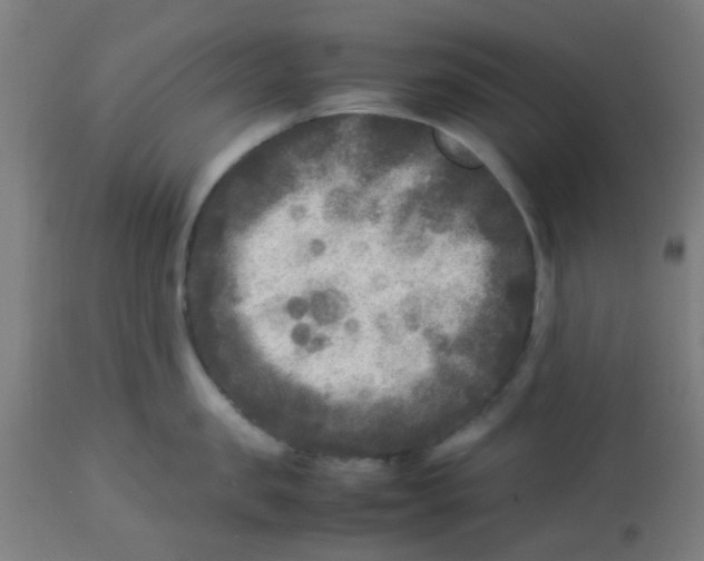 X0000113220957200910081338