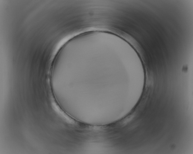 X0000113220958200910081338