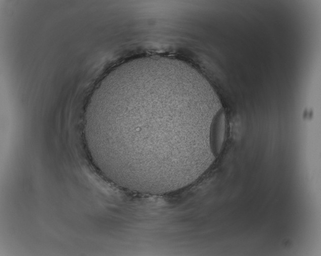 X0000113220961200910081337