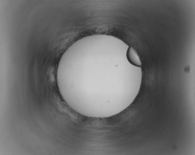 X0000113220962200910081337