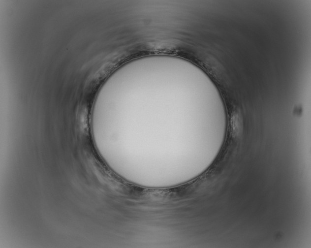 X0000113220963200910081337