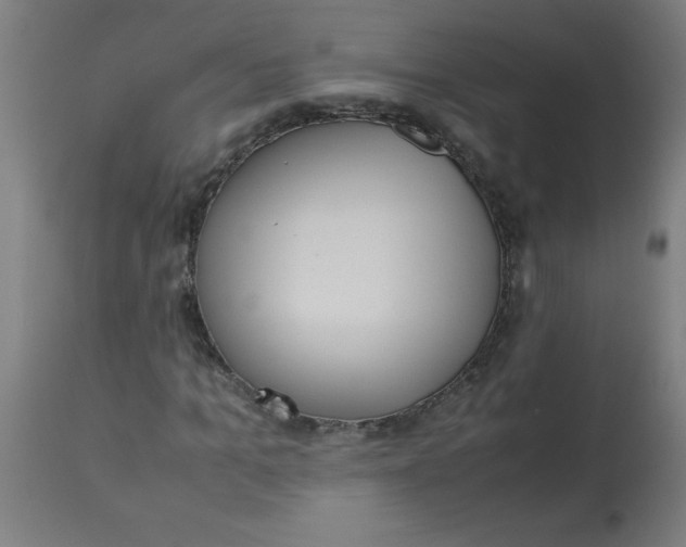 X0000113220965200910081337