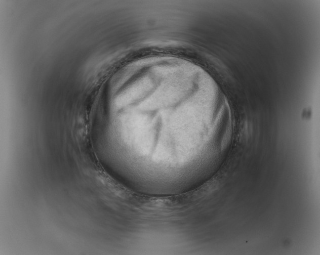 X0000113220966200910081337