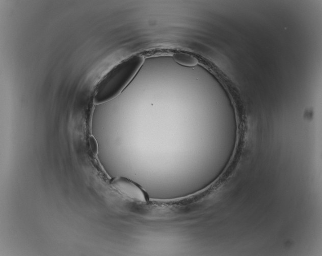 X0000113220969200910081337