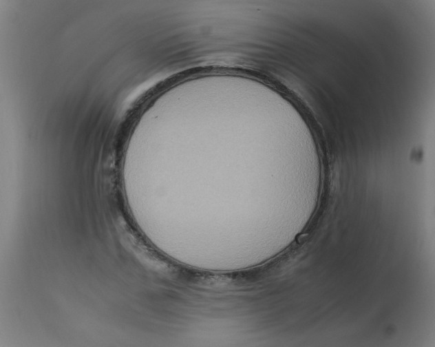 X0000113220971200910081337