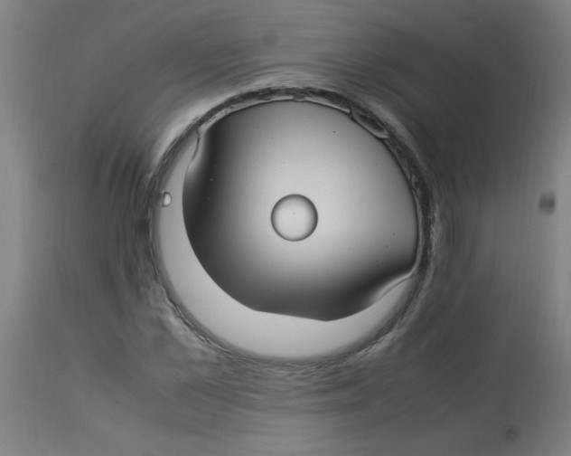 X0000113220973200910081337