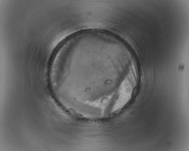 X0000113220975200910081337