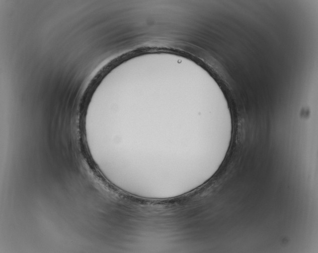 X0000113220976200910081337