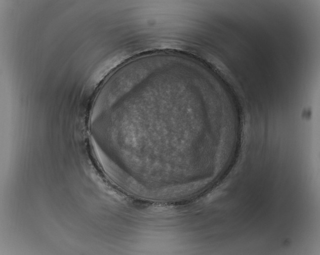 X0000113220977200910081337