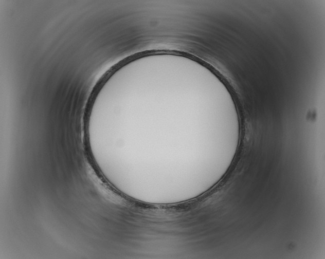 X0000113220980200910081337