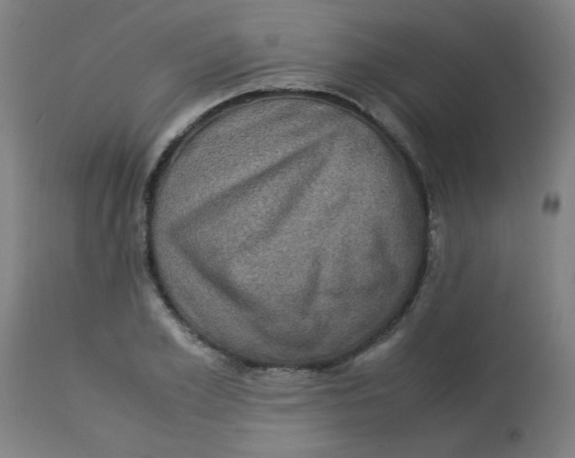 X0000113220981200910081337