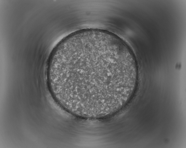 X0000113220983200910081337