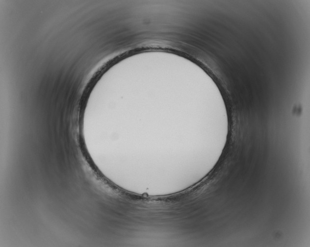 X0000113220984200910081337
