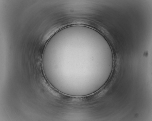 X0000113220985200910081337