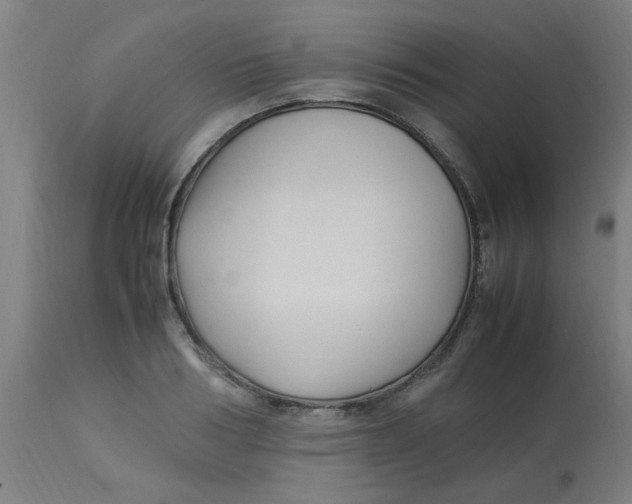 X0000113220986200910081337