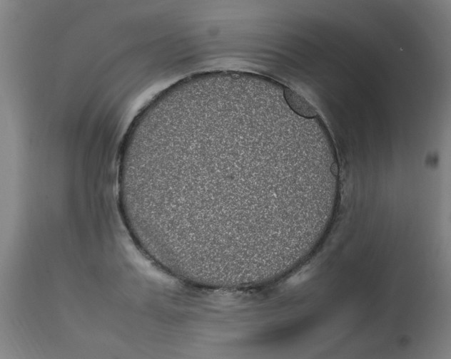 X0000113220987200910081337