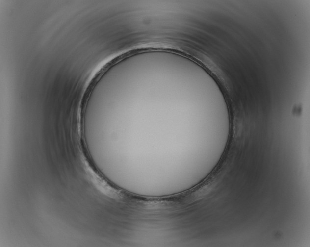 X0000113220988200910081337