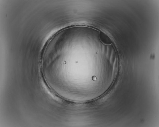 X0000113220989200910081337