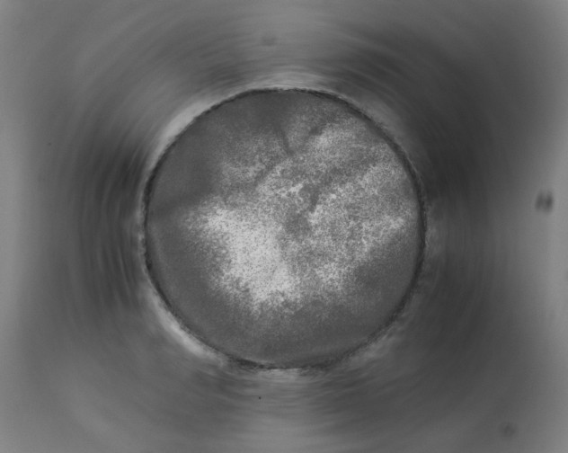 X0000113220990200910081337