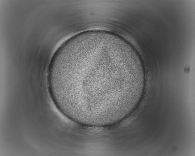 X0000113220991200910081337