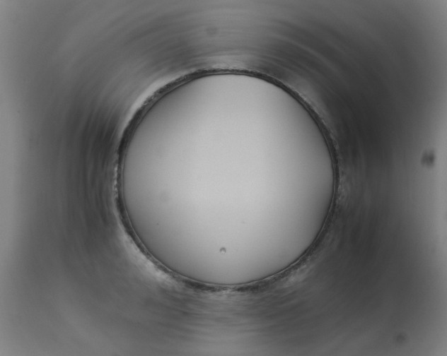 X0000113220992200910081337