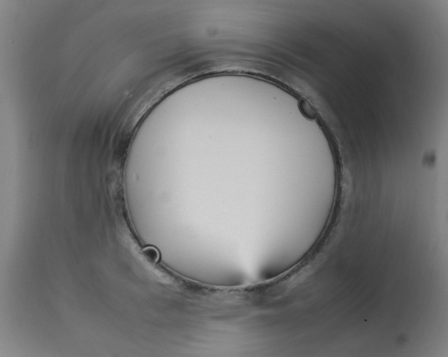X0000113220993200910081337