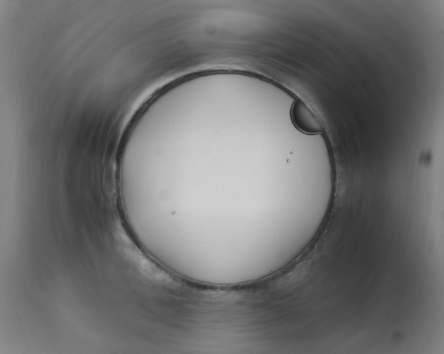 X0000113220996200910081337