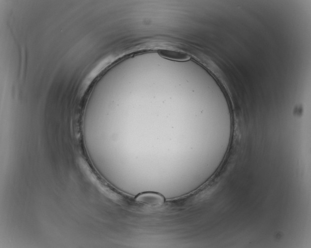 X0000113220997200910081337