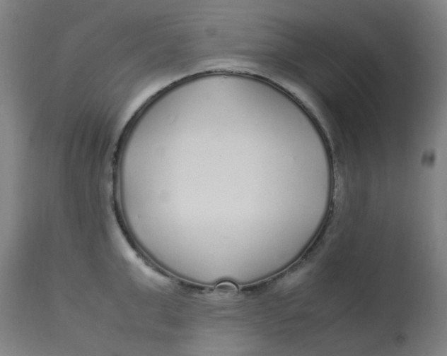 X0000113220999200910081337