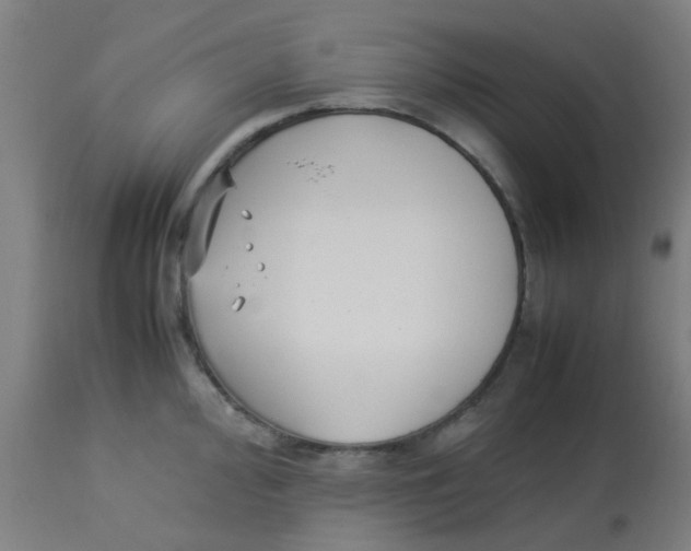 X0000113221000200910081337