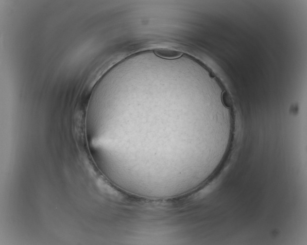 X0000113221001200910081337