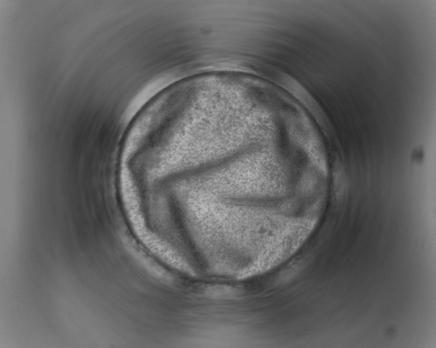 X0000113221002200910081337