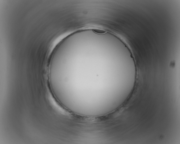 X0000113221003200910081337