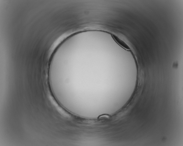 X0000113221005200910081336