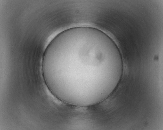 X0000113221006200910081336
