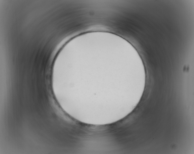 X0000113221008200910081336