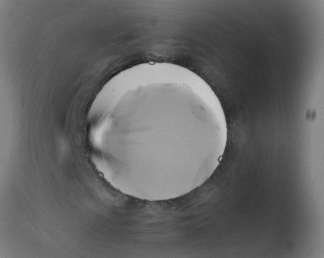 X0000113221009200910081336