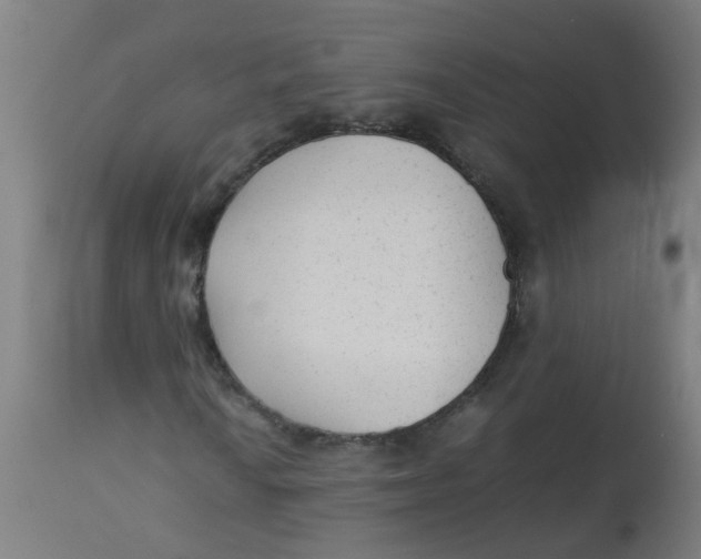 X0000113221010200910081336