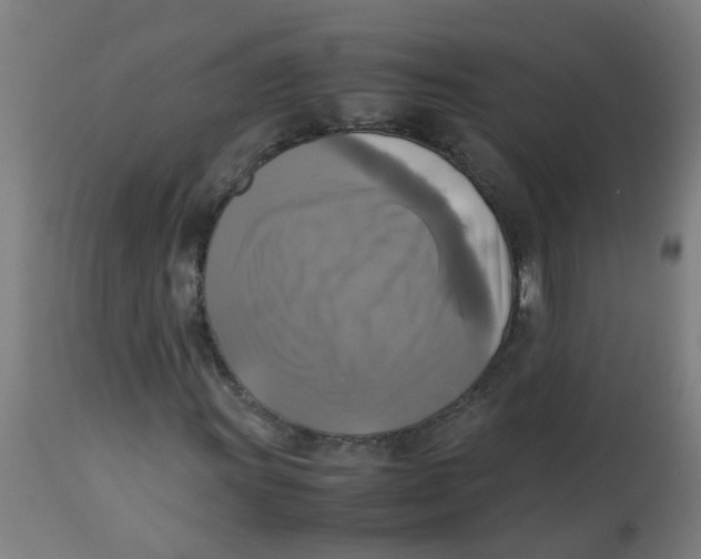 X0000113221011200910081336