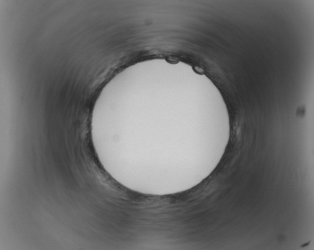 X0000113221012200910081336