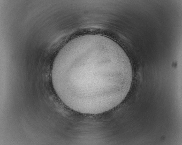 X0000113221014200910081336