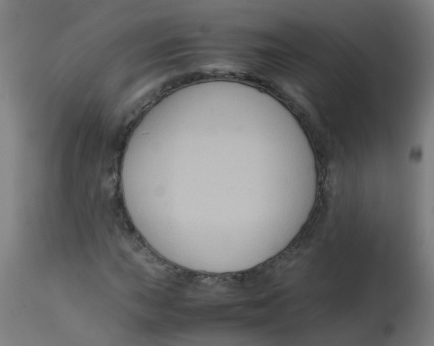 X0000113221015200910081336
