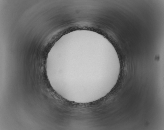 X0000113221016200910081336