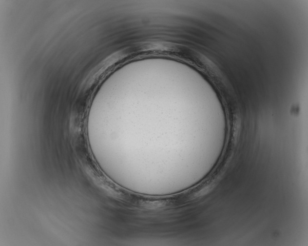 X0000113221017200910081336