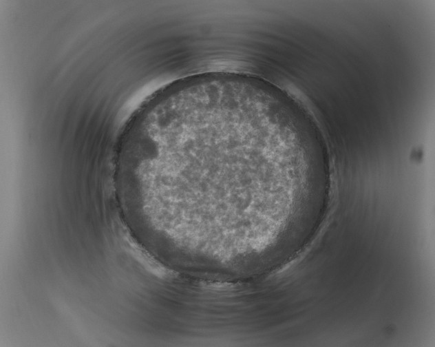 X0000113221019200910081336